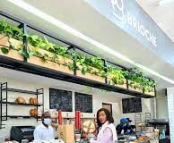 RUBIS ENERGY AWARDS 2 TRIPS TO PARIS IN BRIOCHE PROMOTION