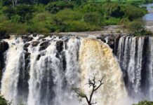 By Samson Oyugi Africa’s largest hydroelectric project The GERD, located on the Blue Nile in Ethiopia with a capacity of 5,150–6,450 MW and a reservoir holding up to 74 billion cubic meters of water is set for inauguration on 9th September 2025 after the completion of the construction works that began in 2011. The dam has been a source of pride for Ethiopia, funded domestically through bonds and public contributions, and is expected to double the country’s electricity output and even enabling energy exports to neighboring countries such as Sudan, Kenya, and Djibouti. The project sparked tensions with downstream nations of Egypt and Sudan, who fear it could reduce their Nile water supply. Egypt relies on the Nile for 97% of its water needs and has referred to the dam as an “existential threat” and labeled its operation without a binding agreement as a violation of international law. Sudan had also expressed concerns, though it has oscillated due to potential benefits like regulated water flows that could reduce on its perennial flooding . Despite years of negotiations, no legally binding agreement on the dam’s operation has been reached after meetings of negotiations up to the African Union level. Ethiopia through Prime Minister Abiy Ahmed has described the dam as a “shared opportunity” for regional cooperation and has extended an invitation to African countries including Egypt and Sudan to it's inauguration. Through his address on the ongoing preparations read to the media in Kenya by the Ethiopian Ambassador to Kenya His excellency Demeke Atnafu Ambulo he said, "Africa should be proud of such an infrastructure that is going to benefit not only Ethiopia but the greater East Africa region and even beyond economically hence solving African problems using African solutions just as Ethiopia has shown". The GERD’s completion marks a significant milestone to Ethiopia’s energy ambitions with its population projected to grow to 240 million by the year 2030 from current 130 million with half the population connected to reliable energy. With the increase in population, their energy demand will too increase.