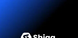 Blockchain fintech deepens impact with Tether partnership and acquisition of Dubai International Financial Center (DIFC) Innovation License Shiga Digital, a fast-growing fintech company focused on blockchain-based financial applications, is redefining how pan-African businesses access and interact with modern financial services while unlocking the transformative potential of blockchain finance to empower Africa's economic growth. Shiga Digital has recently been awarded the prestigious DIFC (Dubai International Financial Centre) Innovation License, marking a significant regulatory milestone that underscores the company's commitment to operating within a robust and well-respected regulatory framework. The additional license, overseen by the Dubai Financial Services Authority (DFSA), provides Shiga Digital with enhanced credibility and regulatory certainty as it continues to expand its blockchain-based financial services across Africa. The DIFC Innovation License positions Shiga Digital within one of the world's leading financial centers, offering access to a sophisticated ecosystem of banks, asset managers, and financial service providers while operating under a clear regulatory framework specifically designed for virtual assets and blockchain technology. This achievement reinforces the company's dedication to compliance and building trust with stakeholders across the continent. Shiga Digital's platform was built specifically for African businesses seeking alternatives to legacy financial systems. By integrating blockchain-based tools, the company simplifies payments, enables faster cross-border trade, offers treasury management solutions, and provides transparent access to stable, secure digital finance. As a professional partner, Shiga Digital makes it easy for companies to start using blockchain technology, removing the traditional barriers that have made it difficult for businesses to leverage these powerful tools without an intermediary. The blockchain enables remarkable efficiency in critical business areas including payment processing, cross-border transactions, treasury operations, and financial reporting. However, in its current state, without an intermediary like Shiga Digital, it remains very difficult for most businesses to effectively leverage blockchain technology. This is precisely why Shiga Digital's solutions have become the go-to choice for forward-thinking African companies. Shiga Digital's capabilities were recently further boosted by a significant investment and formation of a strategic partnership with Tether, the largest company in the digital asset industry. This move signals growing international confidence in Africa's fintech potential and Shiga Digital's innovative approach to making blockchain finance accessible across the continent. The company is now uniquely positioned to help grow blockchain adoption among both customers and regulators alike, thanks to its deep understanding of African markets, regulatory compliance expertise, and commitment to building locally relevant solutions. By partnering with licensed financial transmitters in each of its markets, Shiga Digital ensures its services are fully compliant and aligned with applicable regulatory requirements, fostering trust and confidence among stakeholders. "Africa is on the cusp of a financial transformation, and at Tether, we believe in being more than just observers; we are active enablers," said Paolo Ardoino, Chief Executive Officer at Tether. "Our strategic alliance with Shiga Digital is rooted in a shared belief that access to stable, secure, and scalable financial tools should not be a privilege, but a right. This partnership represents a long-term commitment to equipping African businesses with the technology and infrastructure needed to thrive in an increasingly digital global economy. Together, we are unlocking new pathways for growth and innovation and helping to shape a more inclusive financial future for the continent." "At Shiga Digital, we're not just developing technology, we're building the infrastructure that will power Africa's financial future," added Abiola Shogbeni, Co-Founder and Chief Executive Officer at Shiga Digital. "Our mission is to level the financial playing field by equipping African businesses with blockchain tools that are intuitive, reliable, and locally relevant. We've experienced firsthand how seamless financial services can be in developed markets, and our goal is to make that a reality on the African continent as well. The opportunity before us is immense, blockchain finance has the power to empower Africa in unprecedented ways, and we're working tirelessly to enable this transformation for our customers." "What sets Shiga Digital apart is not just what we're building, but why and how we're building it – blockchain-based technology that makes digital finance accessible and relevant to African businesses," said Dami Etomi, Co-Founder and Chief Operating Officer at Shiga Digital. "Our partnership with Tether is more than financial backing; it's a strategic alliance rooted in a shared commitment to empowering the future of digital finance in Africa. The DIFC Innovation License further validates our approach and commitment to regulatory excellence. Together, we're co-creating solutions and scaling impact to ensure African businesses are not only included but thrive in the global digital economy." The company's end-to-end platform, available via https://Shiga.io, offers businesses a reliable alternative to traditional banking systems, enabling seamless cross-border trade, simplifying stablecoin payments, providing comprehensive treasury management capabilities, and offering access to secure digital asset investments. By combining global technical standards with local insights, Shiga Digital's unique perspective enables the fintech to deliver intuitive and effective tools specifically designed for businesses across the African continent which can be accessed via web application and will soon be available via mobile app for iOS and Android devices. Aligning with its vision of a world where financial freedom is not a privilege but a fundamental right, Shiga Digital's innovative solutions are empowering African businesses with cutting-edge digital financial tools that harness the full potential of blockchain technology to drive economic growth and prosperity across the continent.