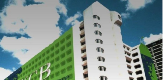 About 60 percent of investments will focus on climate adaptation, particularly climate-resilient agriculture and water management technologies, while 40 percent will go towards mitigation efforts such as renewable energy and energy efficiency. Through the facility, KCB will deploy flexible credit products, blended finance structures, and digital lending platforms to scale access to financing for underserved populations. “This is a bold step to scale climate finance. By targeting MSMEs and smallholder farmers, we are ensuring that no one is left behind in the transition to a climate-resilient future,” said Paul Russo. The funding comes as Kenya faces rising climate vulnerability, with over 80 percent of its land classified as arid and semi-arid. These regions frequently experience droughts and floods, causing economic losses estimated at about 3 percent of GDP annually. KCB has been ramping up its green financing efforts, having assessed loans worth Sh578.3 billion for environmental and social risks last year. This brings the cumulative total assessed since 2020 to over Sh1 trillion under its Environmental and Social Due Diligence framework. The bank also disbursed Sh50 billion in green loans in 2025, increasing its green portfolio share to 25.84 percent from 15 percent in 2023, with investments spanning energy transition, blue economy, e-mobility, and climate adaptation initiatives.