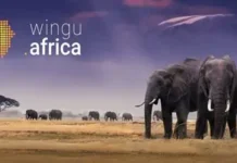 Wingu Africa (www.Wingu.Africa), the pioneering specialist provider of carrier-neutral, Tier III-standard data centres in East Africa, has announced the launch of the Wingu Cloud Exchange (WCX), a new private cloud platform tailored specifically for East African businesses and now available in Ethiopia. With WCX, Ethiopian organisations can keep their data securely within the country, ensuring compliance with local regulations and protecting sensitive information. For businesses, this enables faster access to services, improved operational efficiency, and reliable support through locally optimised infrastructure. Demos Kyriacou, Deputy CEO, COO and Co-founder of Wingu Africa, said, “WCX is a game-changer for African businesses. We are delivering secure, compliant, and scalable cloud solutions built specifically for local needs. With this platform, we are setting a new standard for digital infrastructure in the region and accelerating Ethiopia’s transformation into a digitally enabled economy.” WCX brings together essential cloud services such as computing, storage, container management, and security, making advanced technology accessible to companies of all sizes. Enterprises can scale operations on demand, pay predictable prices in local currency, and avoid the uncertainties of foreign exchange or hidden fees. This gives businesses clarity in planning and the freedom to grow without constraints. The platform offers a full range of services, including Wingu Compute, Wingu Kubernetes, Wingu Drive, and Wingu Security, enabling businesses to deploy, manage, and secure applications with confidence. The platform also integrates seamlessly with existing on-premises systems and complements global providers such as Azure and AWS, offering customers flexible hybrid options tailored to their operational requirements. The launch of WCX highlights the company’s commitment to advancing Ethiopia’s digital transformation and strengthening the region’s cloud infrastructure. By delivering locally relevant solutions, Wingu Africa supports sustainable growth and inclusive development, while addressing customer demand for simplicity, reliability, and predictability in cloud adoption.