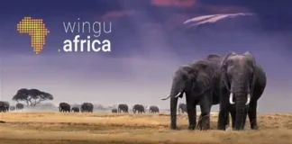 Wingu Africa (www.Wingu.Africa), the pioneering specialist provider of carrier-neutral, Tier III-standard data centres in East Africa, has announced the launch of the Wingu Cloud Exchange (WCX), a new private cloud platform tailored specifically for East African businesses and now available in Ethiopia. With WCX, Ethiopian organisations can keep their data securely within the country, ensuring compliance with local regulations and protecting sensitive information. For businesses, this enables faster access to services, improved operational efficiency, and reliable support through locally optimised infrastructure. Demos Kyriacou, Deputy CEO, COO and Co-founder of Wingu Africa, said, “WCX is a game-changer for African businesses. We are delivering secure, compliant, and scalable cloud solutions built specifically for local needs. With this platform, we are setting a new standard for digital infrastructure in the region and accelerating Ethiopia’s transformation into a digitally enabled economy.” WCX brings together essential cloud services such as computing, storage, container management, and security, making advanced technology accessible to companies of all sizes. Enterprises can scale operations on demand, pay predictable prices in local currency, and avoid the uncertainties of foreign exchange or hidden fees. This gives businesses clarity in planning and the freedom to grow without constraints. The platform offers a full range of services, including Wingu Compute, Wingu Kubernetes, Wingu Drive, and Wingu Security, enabling businesses to deploy, manage, and secure applications with confidence. The platform also integrates seamlessly with existing on-premises systems and complements global providers such as Azure and AWS, offering customers flexible hybrid options tailored to their operational requirements. The launch of WCX highlights the company’s commitment to advancing Ethiopia’s digital transformation and strengthening the region’s cloud infrastructure. By delivering locally relevant solutions, Wingu Africa supports sustainable growth and inclusive development, while addressing customer demand for simplicity, reliability, and predictability in cloud adoption.