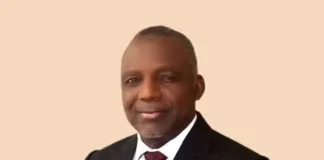 Africa’s Energy Shift Starts With Technology Prof. Bart O. Nnaji