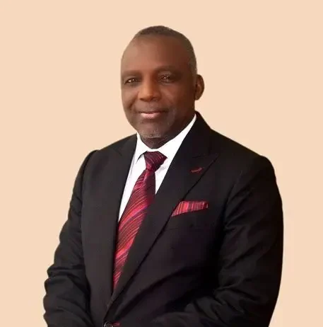 Africa’s Energy Shift Starts With Technology Prof. Bart O. Nnaji